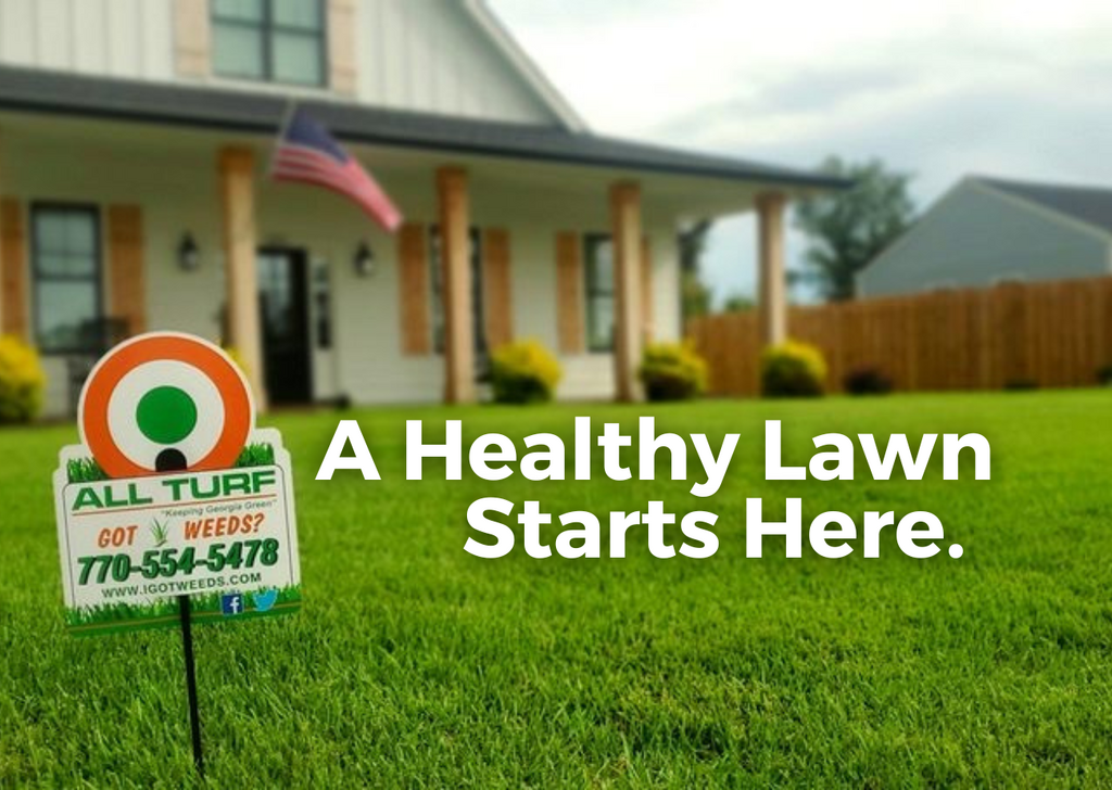 All on sale lawn care
