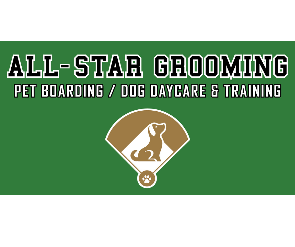 All star hot sale dog grooming