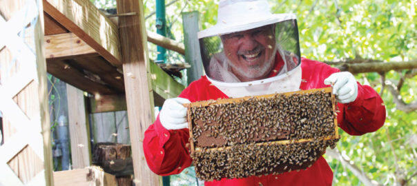 They serve a massive purpose for us': Miami beekeeper working to create a  buzz about bees - WSVN 7News, Miami News, Weather, Sports