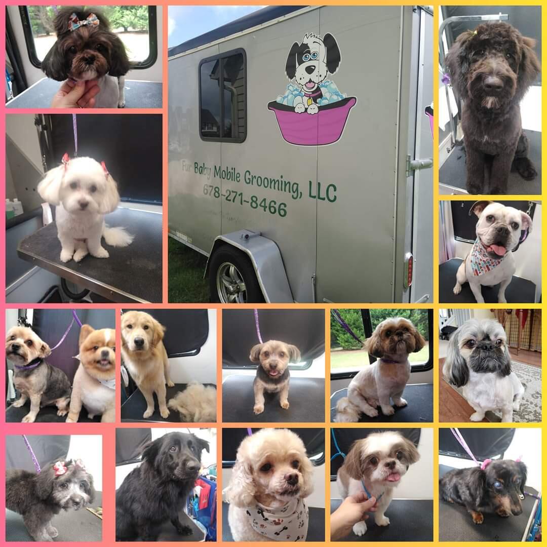 Fur babies best sale mobile dog grooming