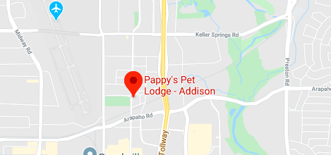 Pappy's pet hot sale lodge