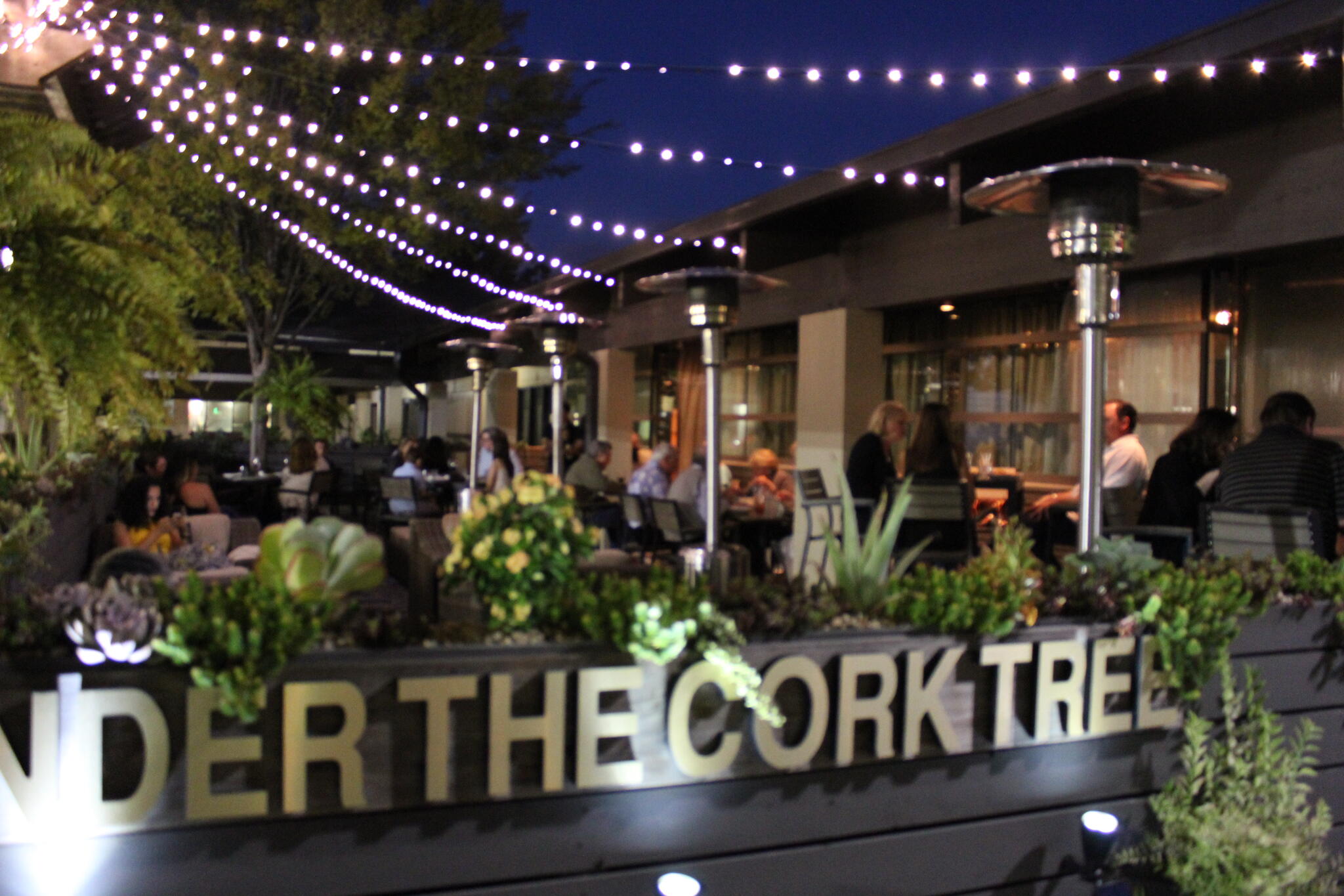 Under The Cork Tree Sandy Springs, GA Nextdoor