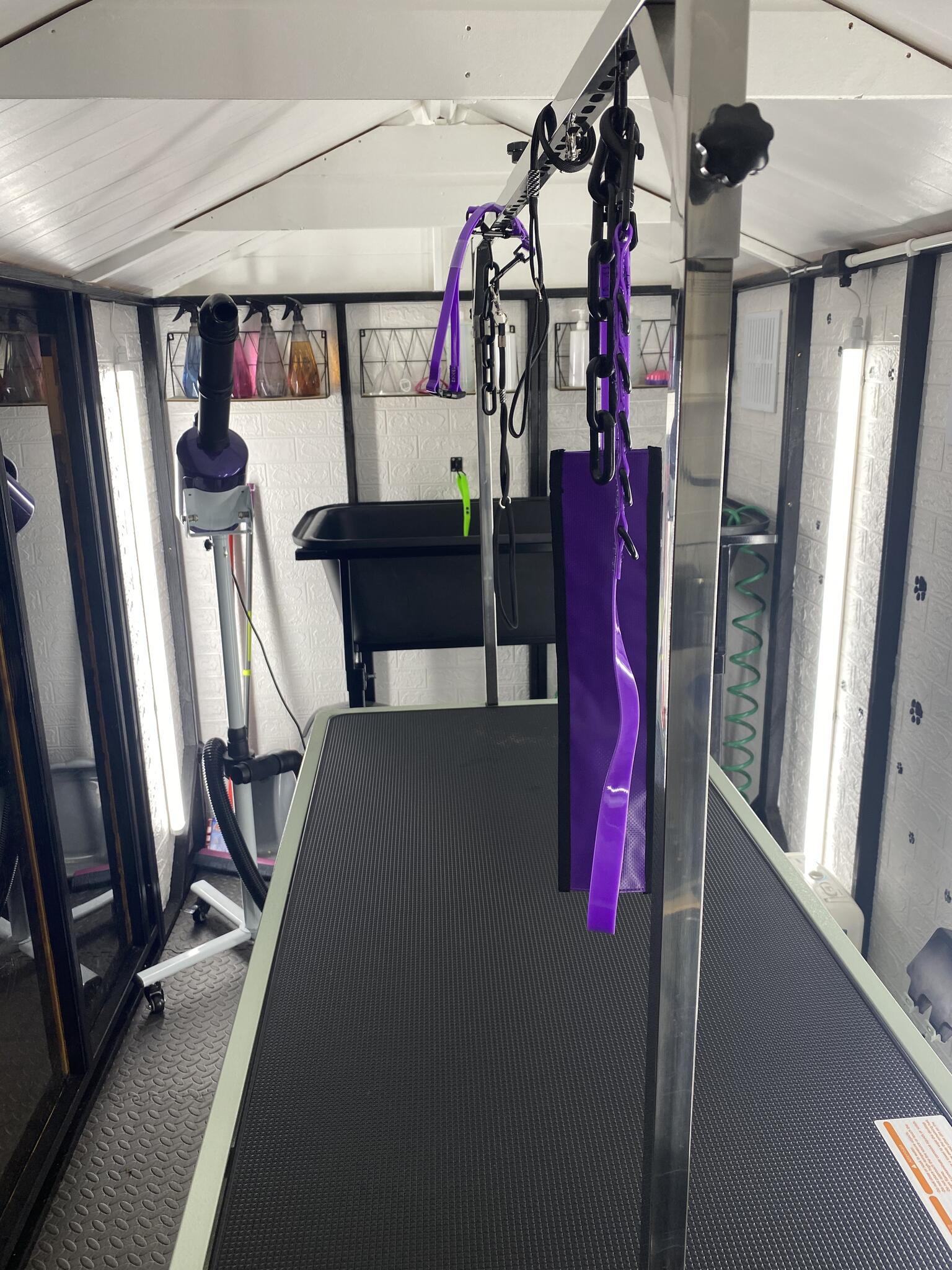 Hugo’s Dog Grooming Belfast Nextdoor