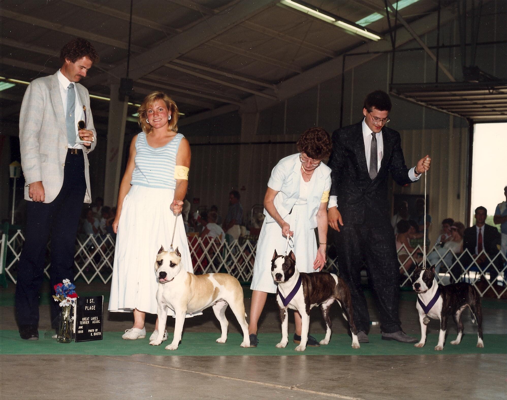 West allis training kennel clearance club