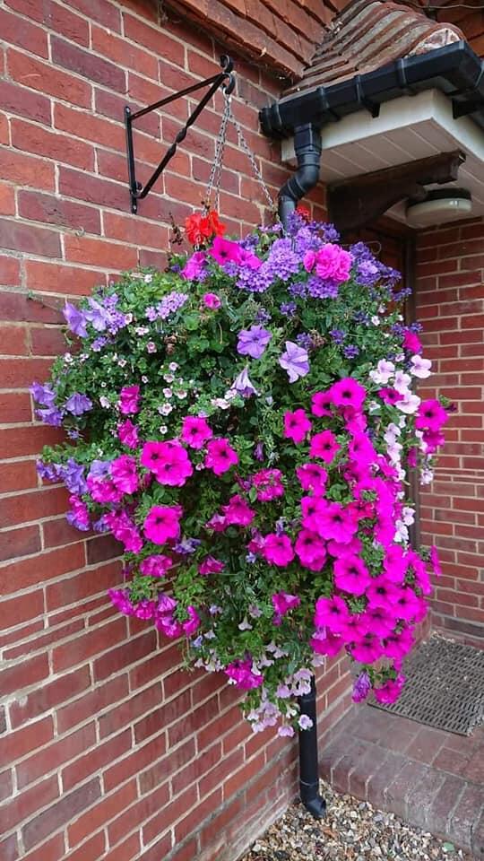 Glenvale Nurseries Reading, GBENG Nextdoor