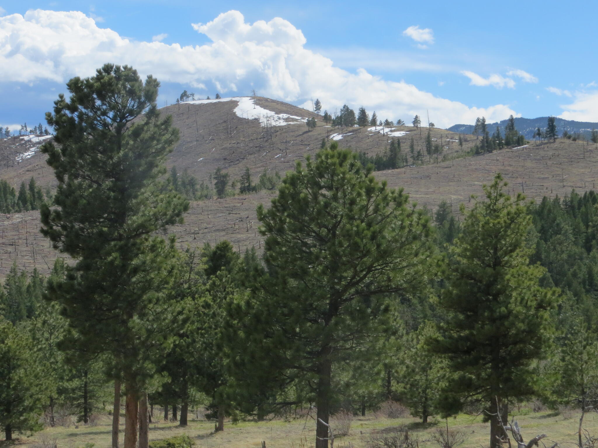 Stillman construction Thornton, CO Nextdoor