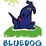 Blue dog best sale boarding and daycare