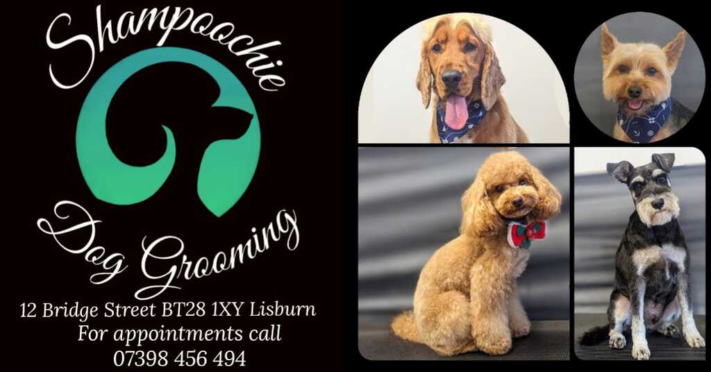 Shampoochie hot sale pet spa