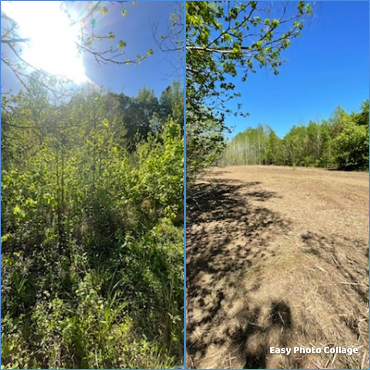Triad Mulch & Tree Greensboro, NC Nextdoor