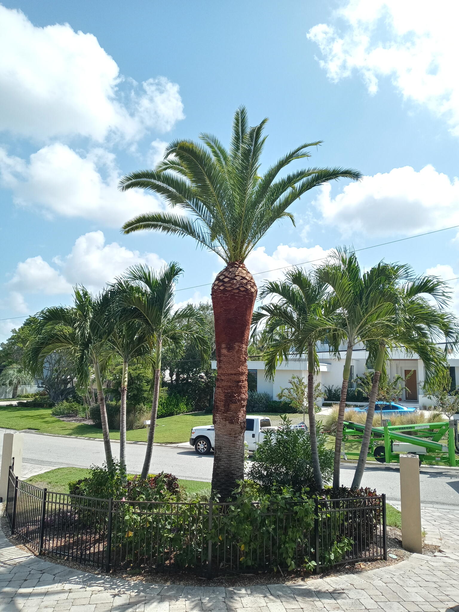 Southern Comfort Tree Service Bradenton, FL Nextdoor