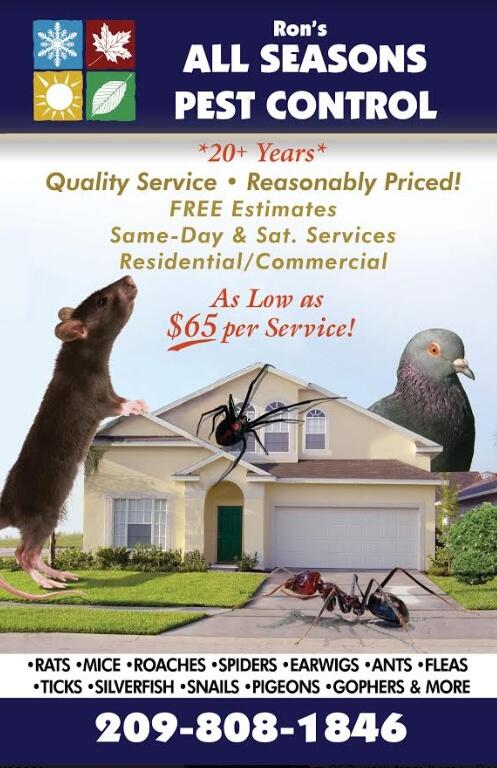 All seasons 2024 pest control