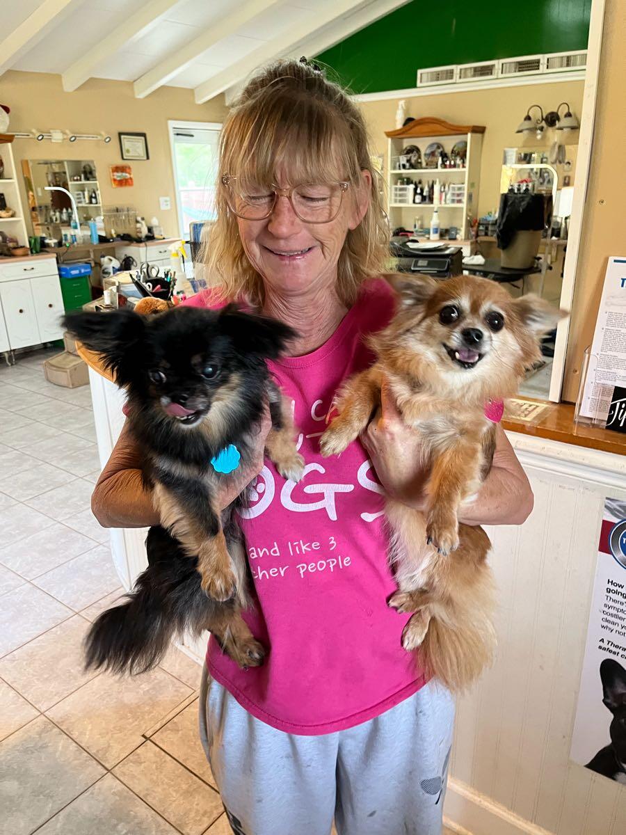 DogZone Dog grooming & boarding Myrtle Beach, SC Nextdoor