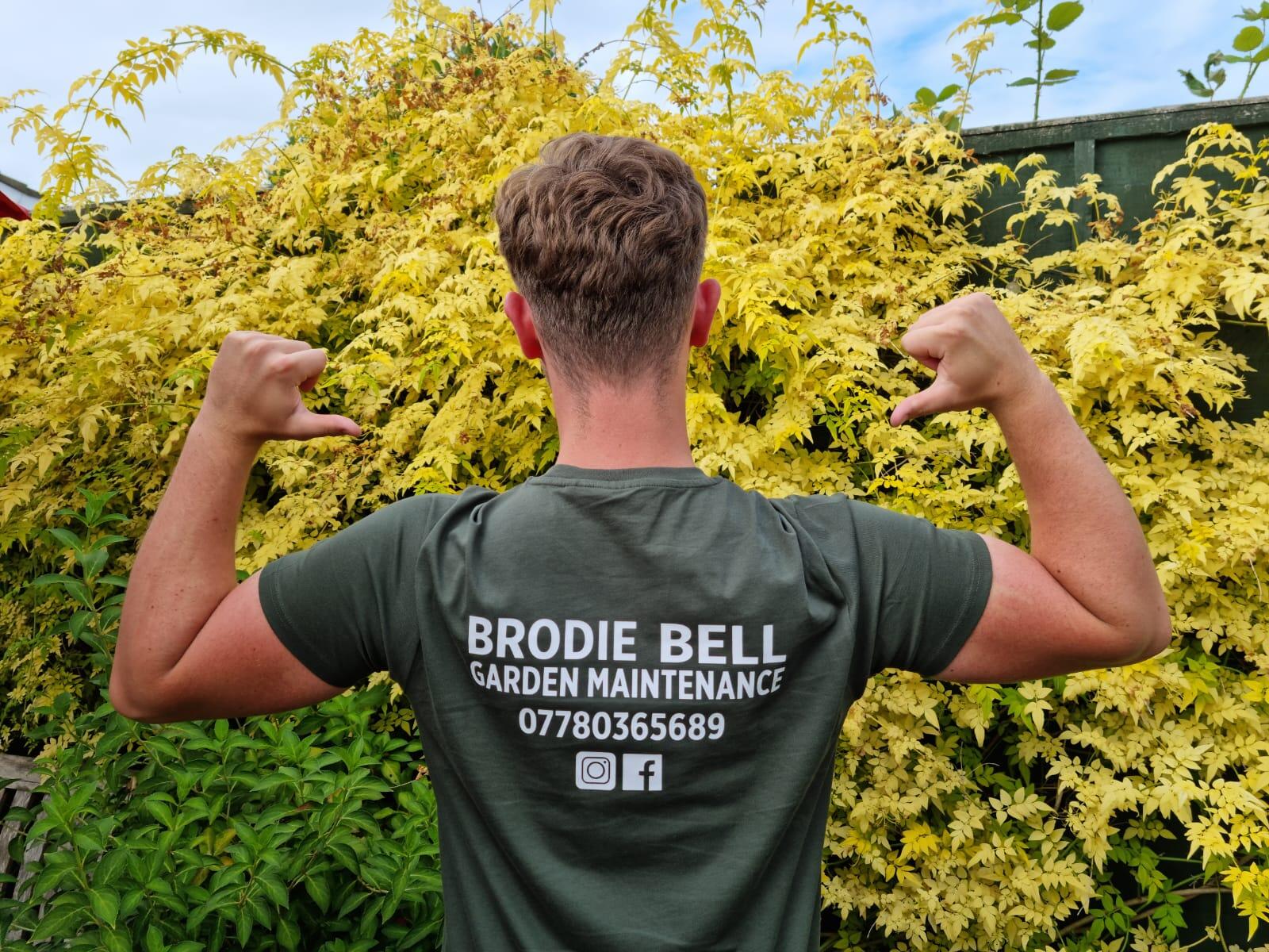 Brodie Bell Garden Maintenance Loughton GB ENG Nextdoor