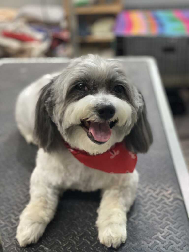 Lindsey's groom best sale room