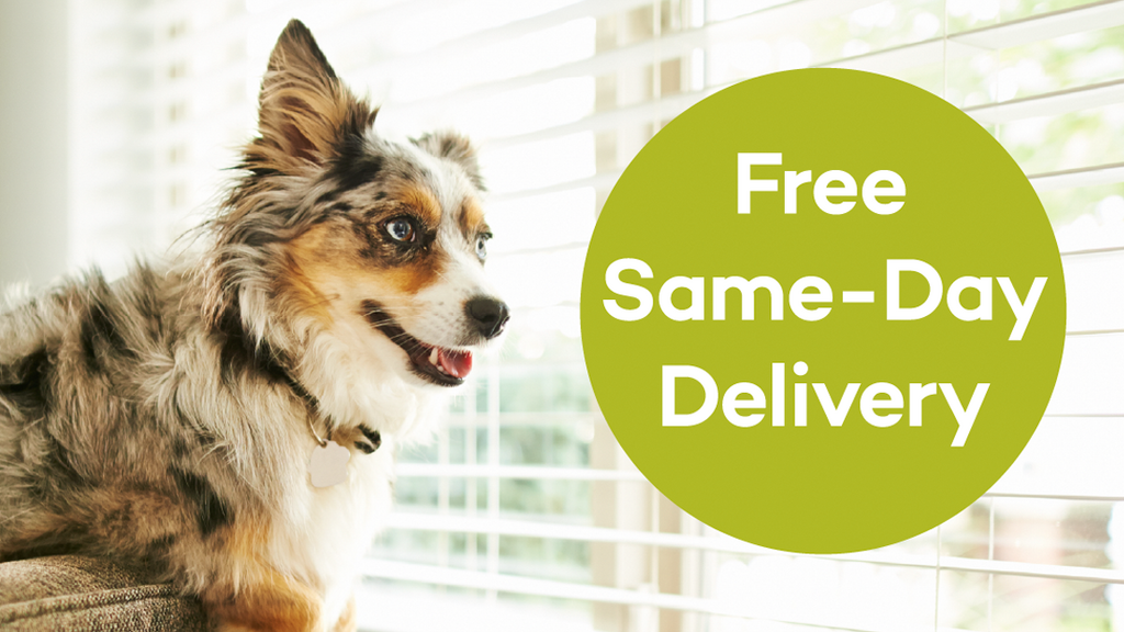 Pet food best sale express delivery
