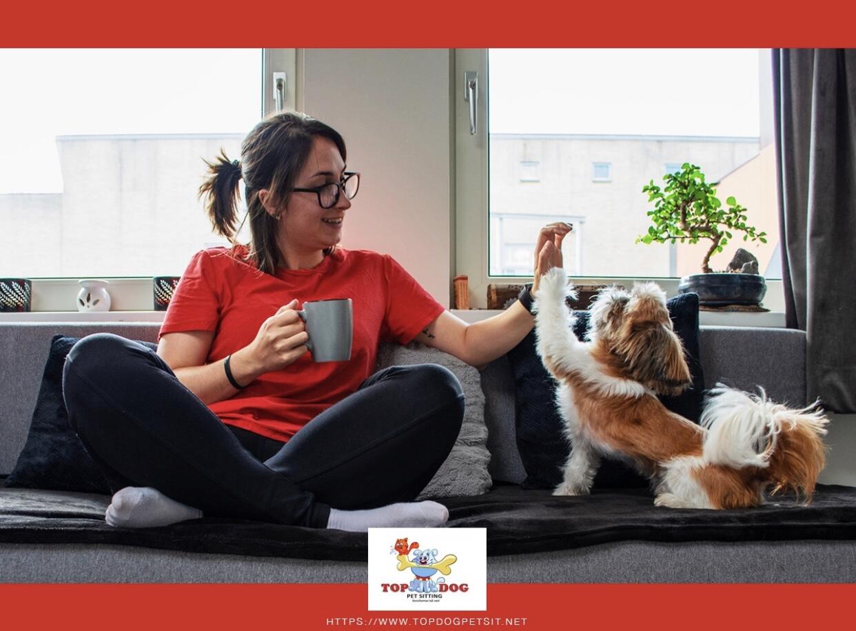 Top Dog Pet Sitting And Dog Walking Service Benbrook, TX Nextdoor