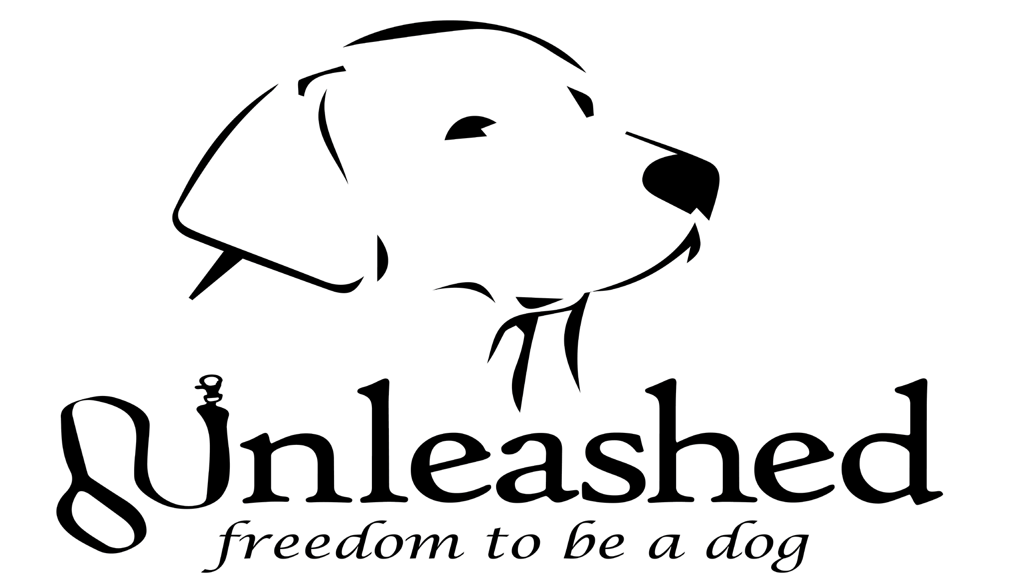 Unleashed Doggy Daycare & Boarding Missoula, MT Nextdoor