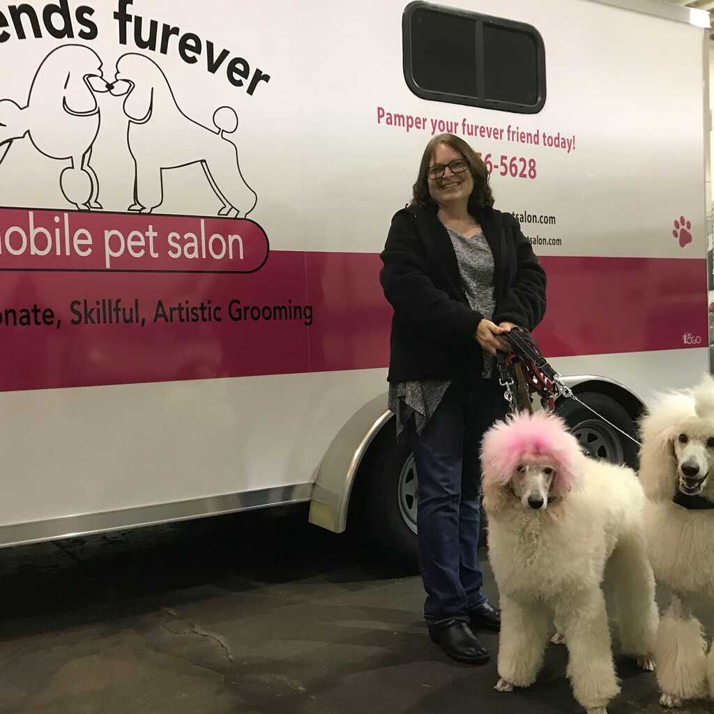 Fur ever deals friends dog grooming