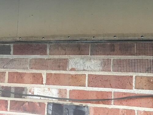 Paske Pest Control & Wildlife Solutions - Saint Louis, MO - Nextdoor