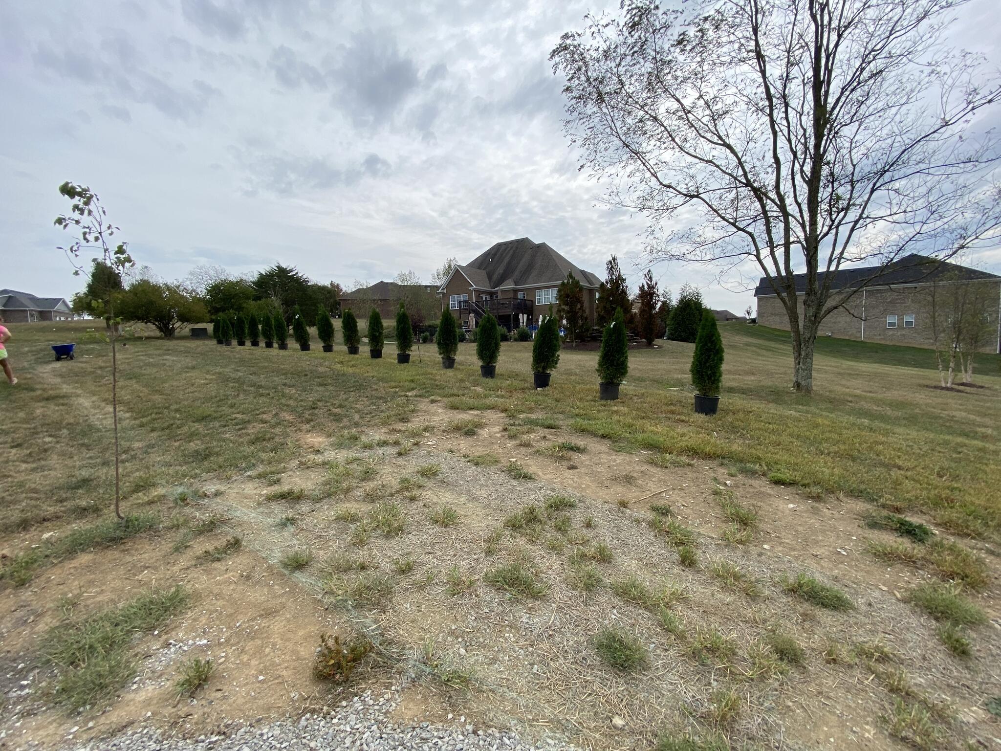 Lockwood Landscaping Lexington, KY Nextdoor