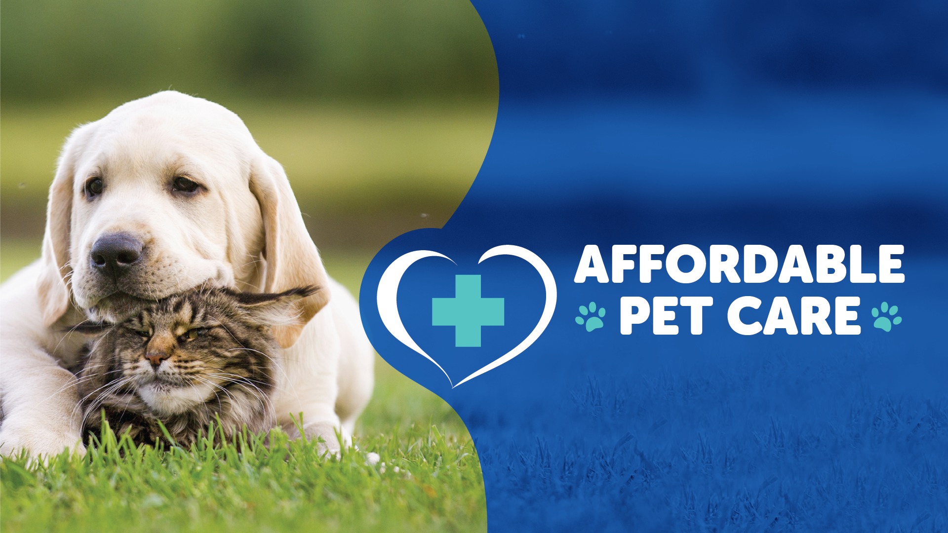 Carolina Value Pet Care Nextdoor