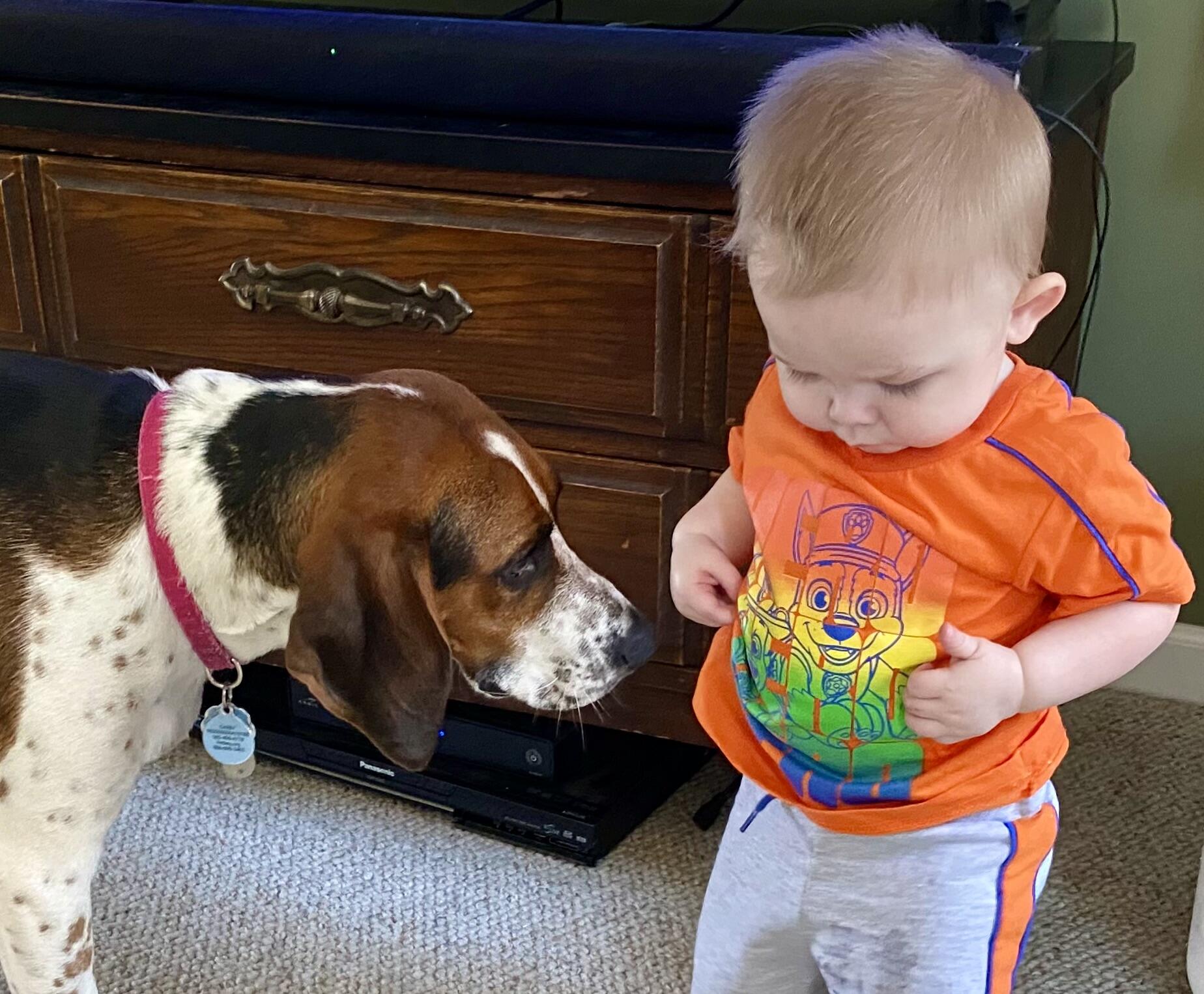 Heaven's Best Carpet and Upholstery Cleaning Nextdoor