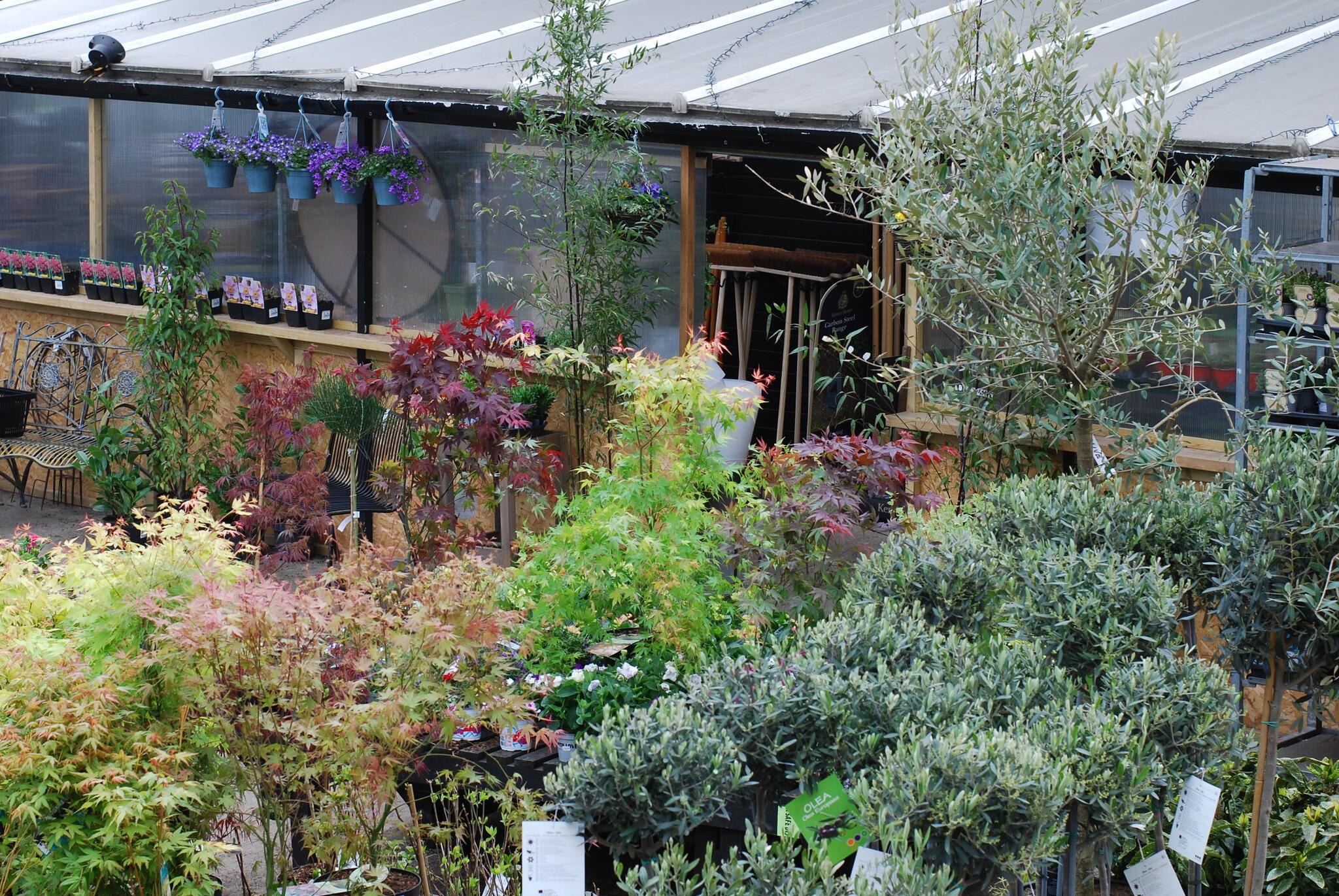 Lancaster's Home & Garden - London, Essex - Nextdoor