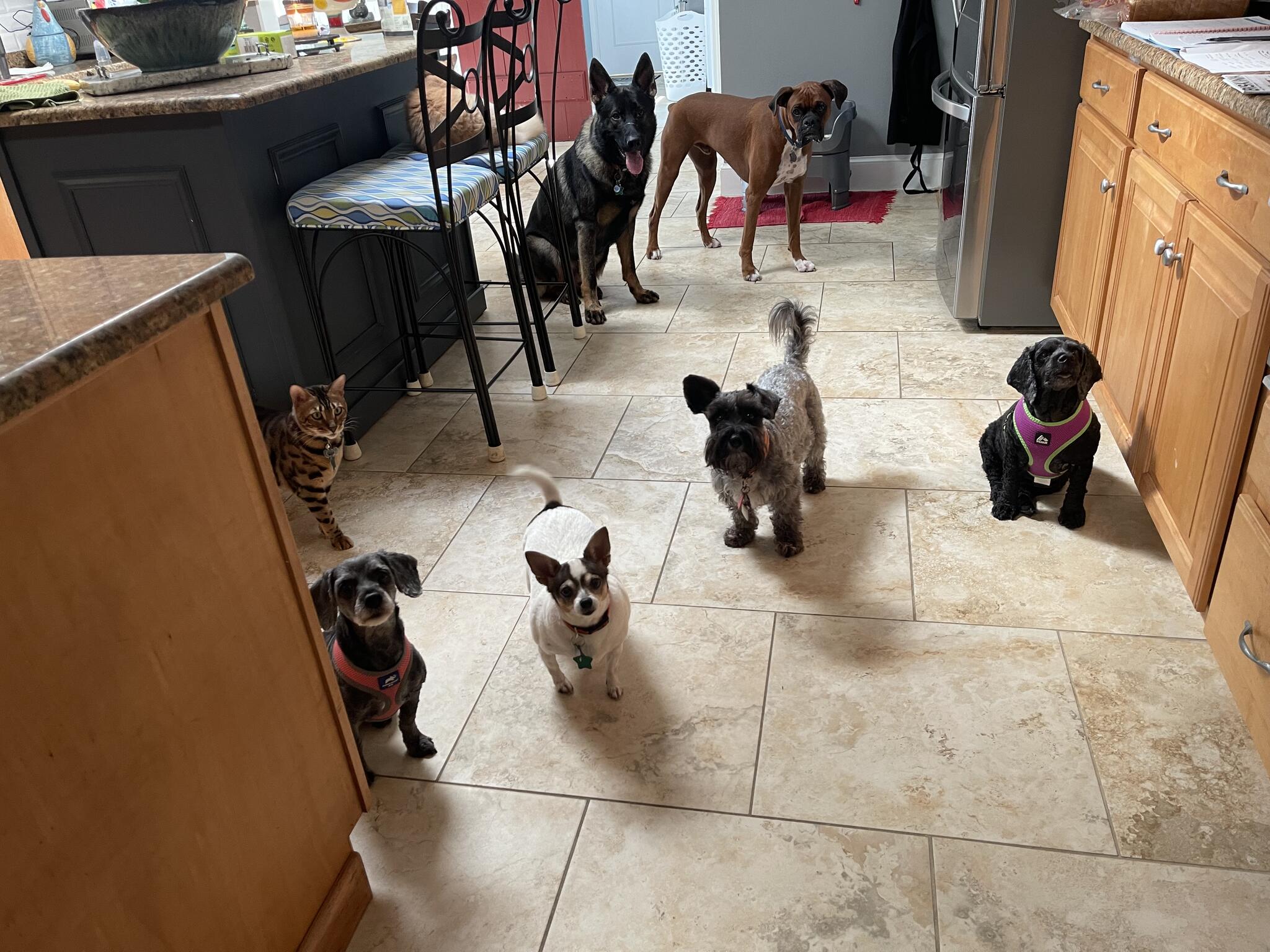 Windover Farms Pet Resort Titusville, FL Nextdoor