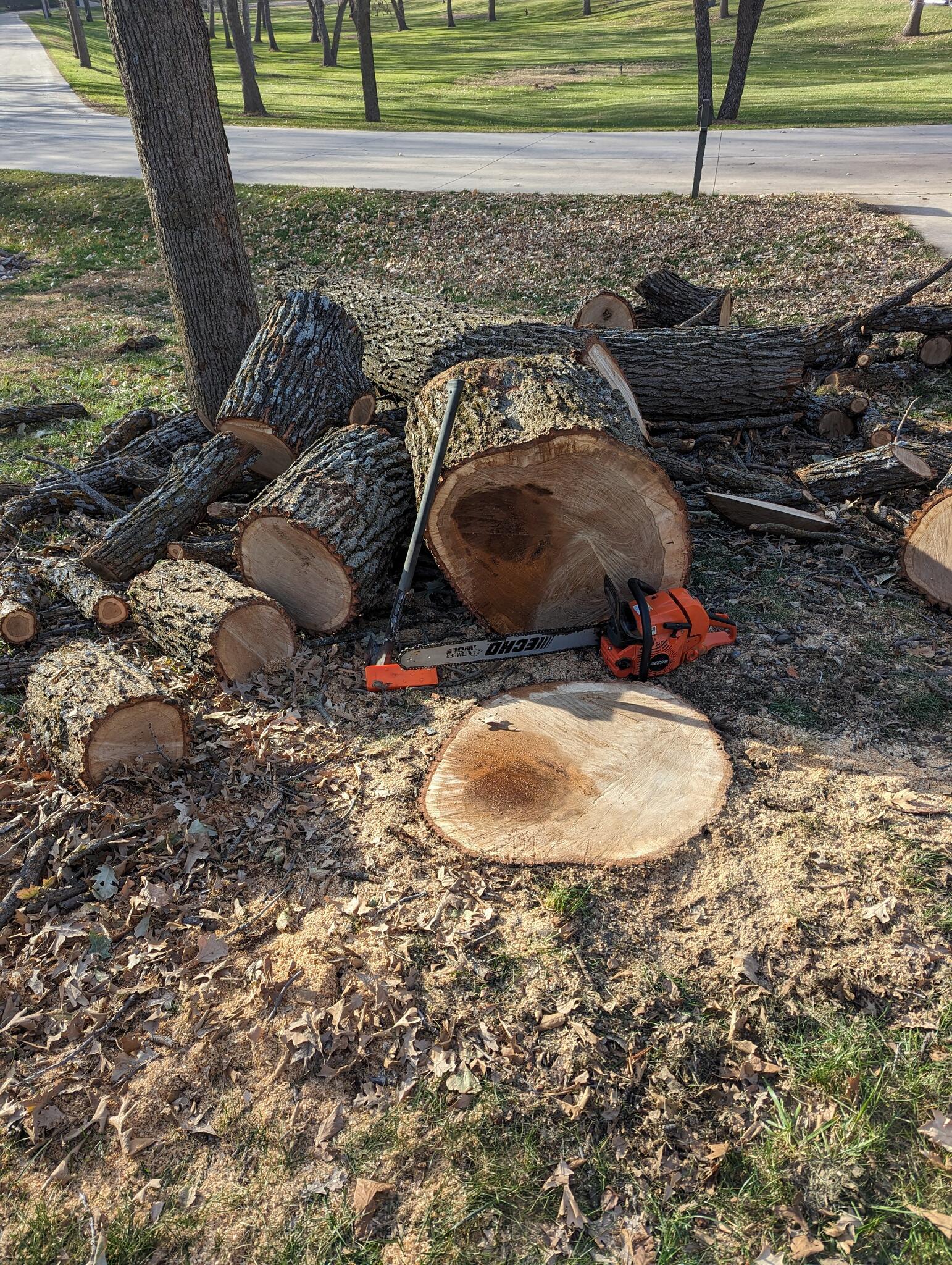 Cut Right Tree Service LLC. - Nextdoor