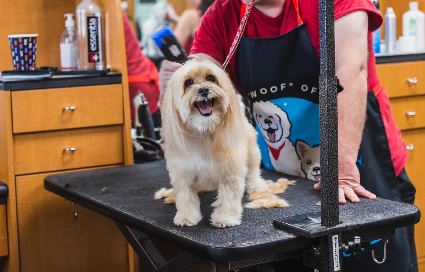 Happy And Lucky Pet Salon And Mobile Grooming Las Vegas, NV Nextdoor