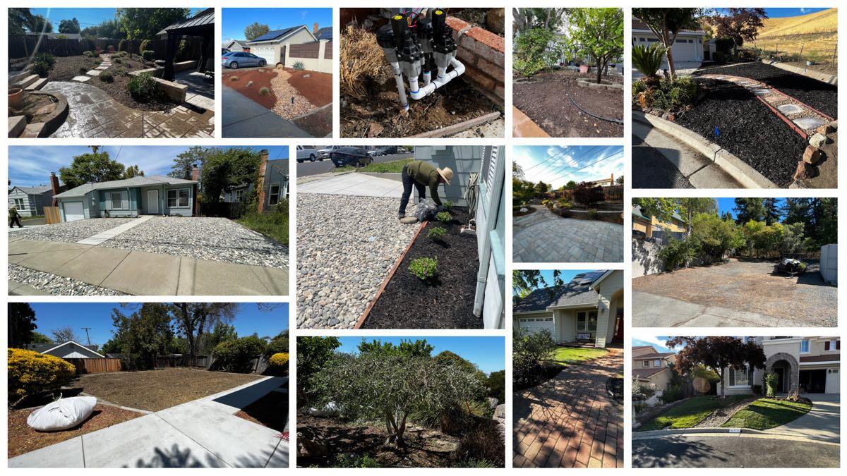 Gonzalez Yard Care (Licensed,Insured and Bonded) Pleasant Hill, CA