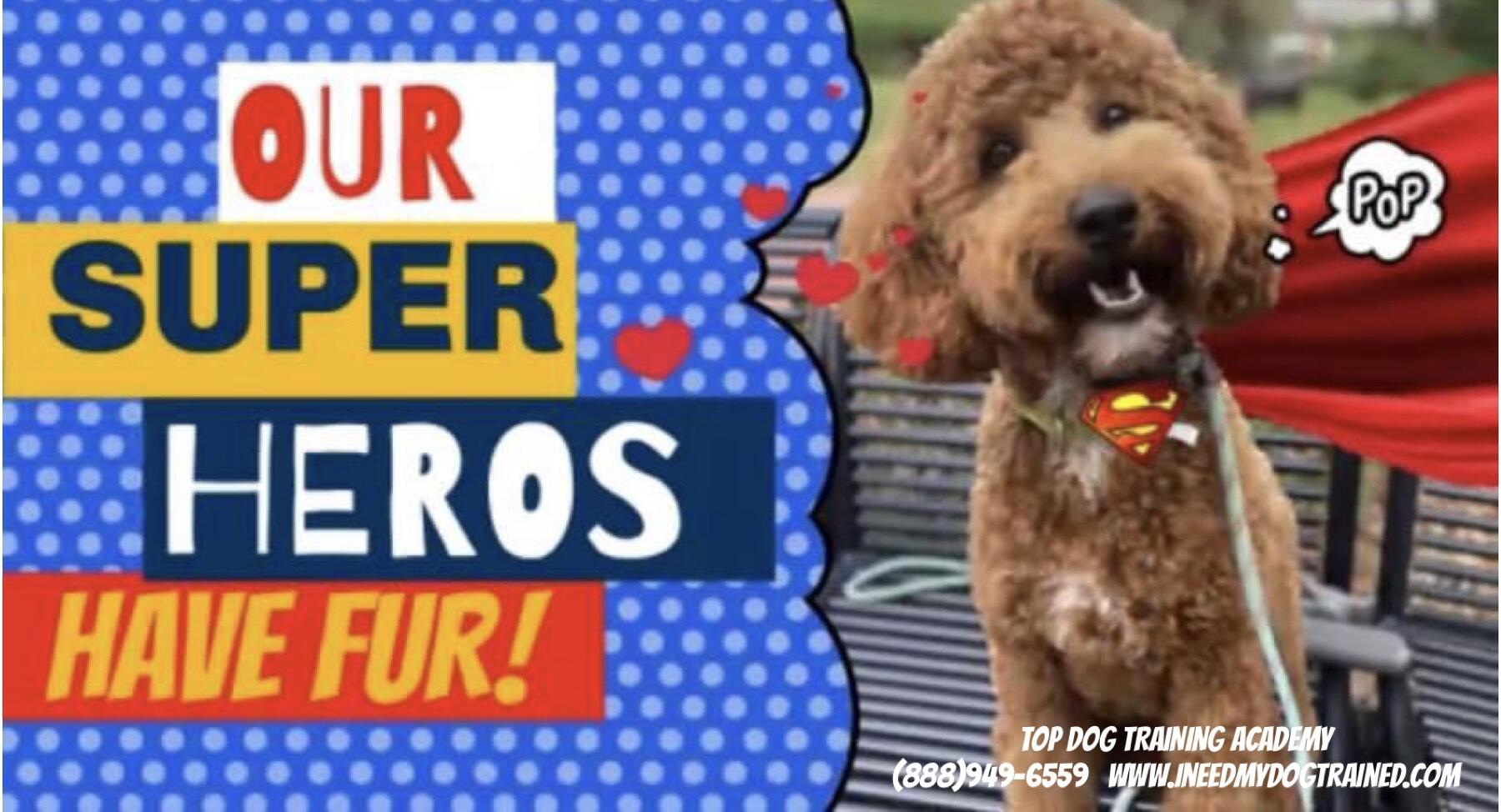 TOP DOG TRAINING ACADEMY Kentwood, LA Nextdoor