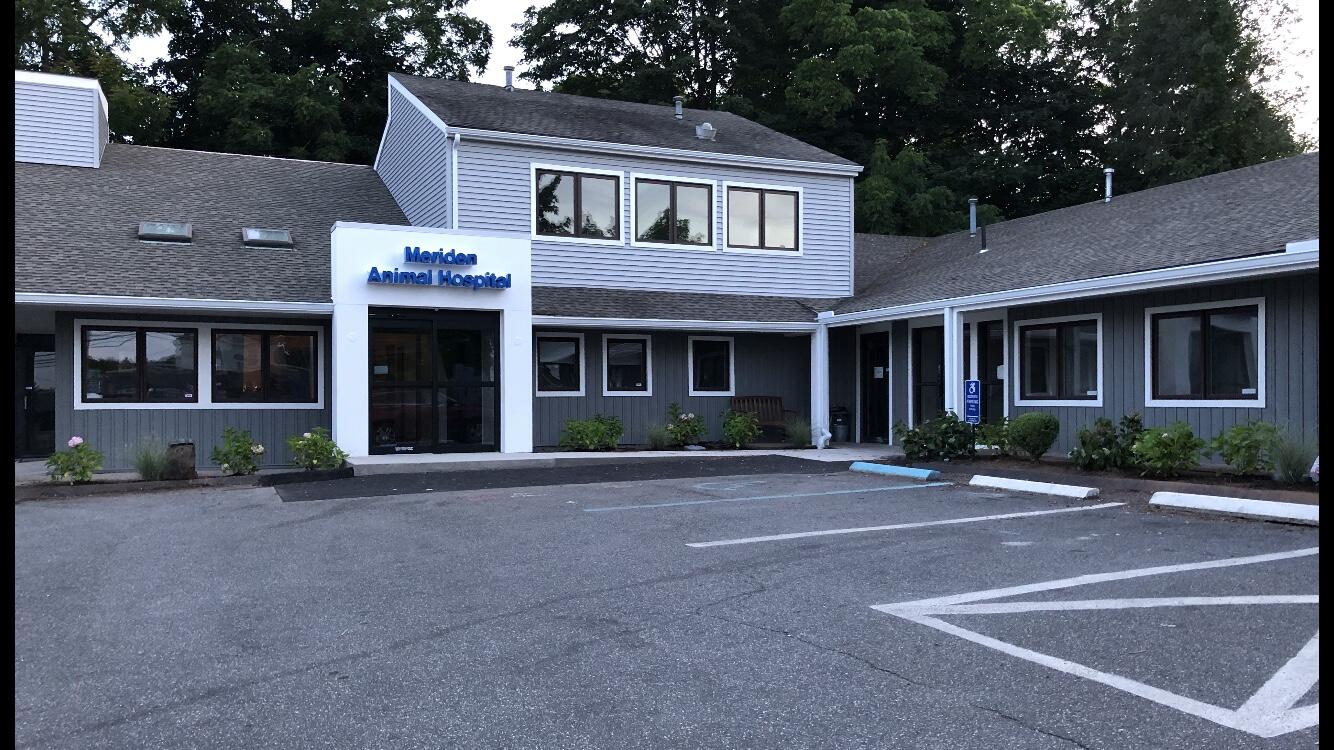 meriden animal hospital phone number