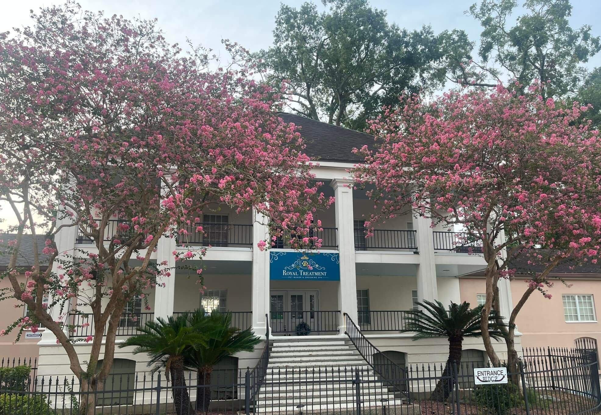 Royal Treatment Pet Manor & Grooming Spa Baton Rouge, LA Nextdoor