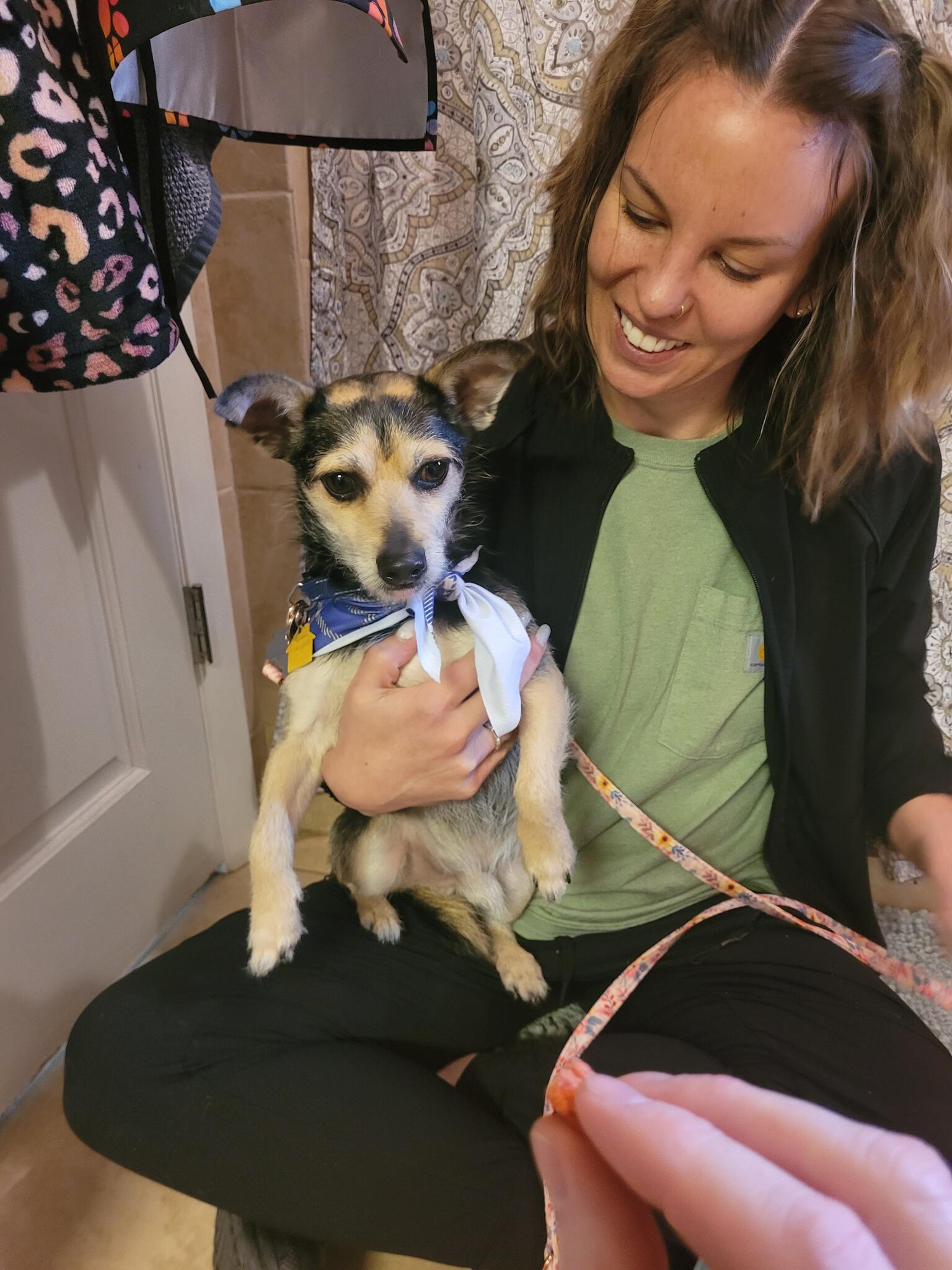 Bark and Bubbles Pet Grooming Goodlettsville, TN Nextdoor