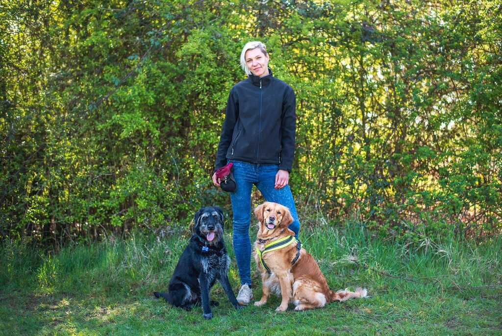 Positive paws hotsell dog training