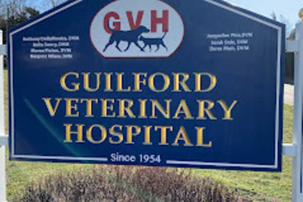 Guilford Veterinary Hospital - Guilford, CT - Nextdoor