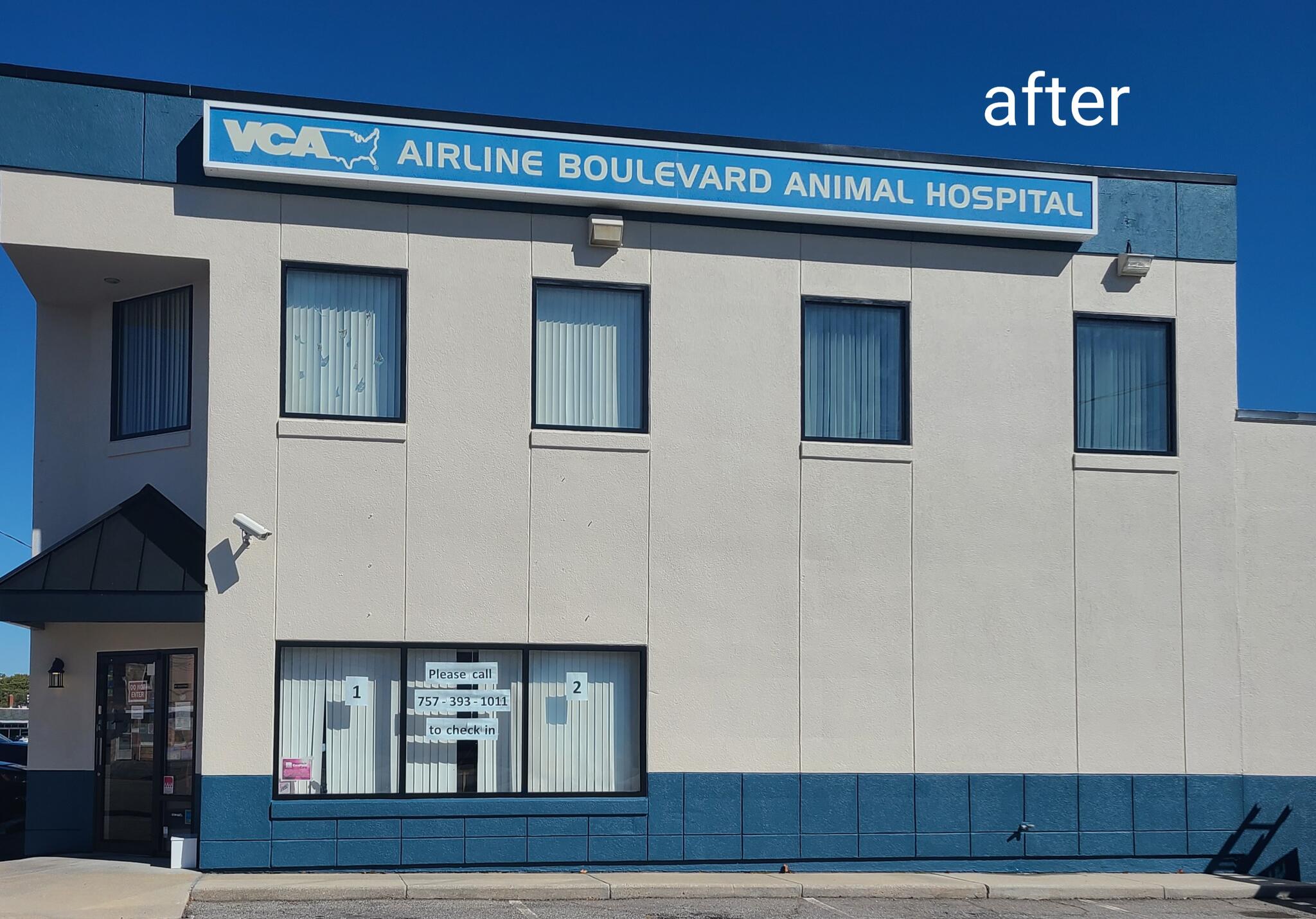 Vca boulevard hot sale animal hospital