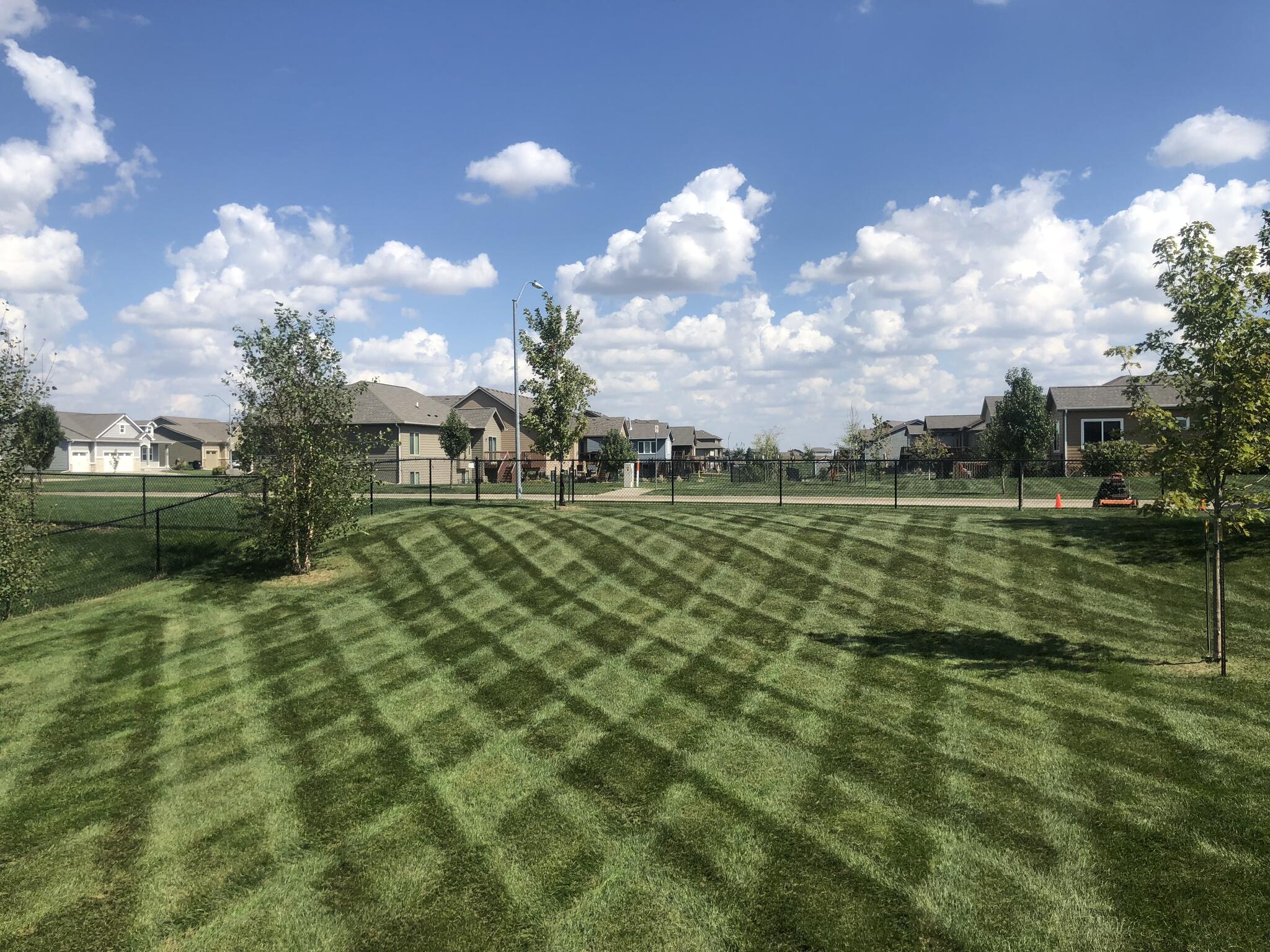 Ankeny Lawn and Landscapes, LLC - Nextdoor