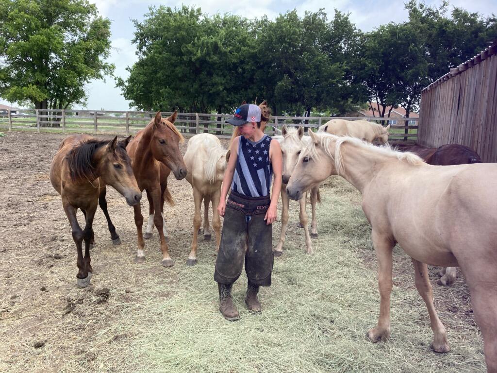 Gypsy Harrison Farrier Service Weatherford, TX Nextdoor