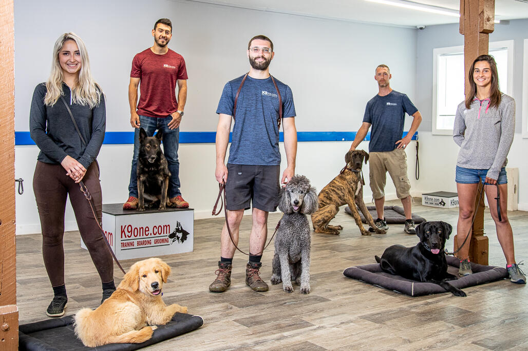 K9one LLC Stonehill Kennel Goshen, CT Nextdoor