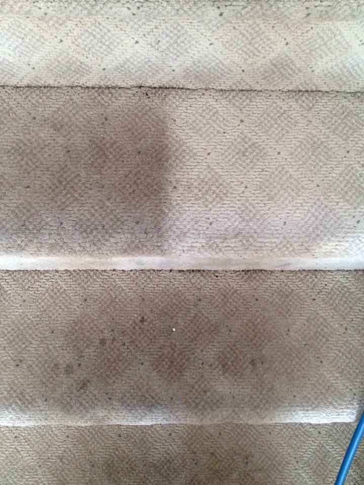 Steam Squad Carpet & Upholstery Cleaners Jericho, NY Nextdoor