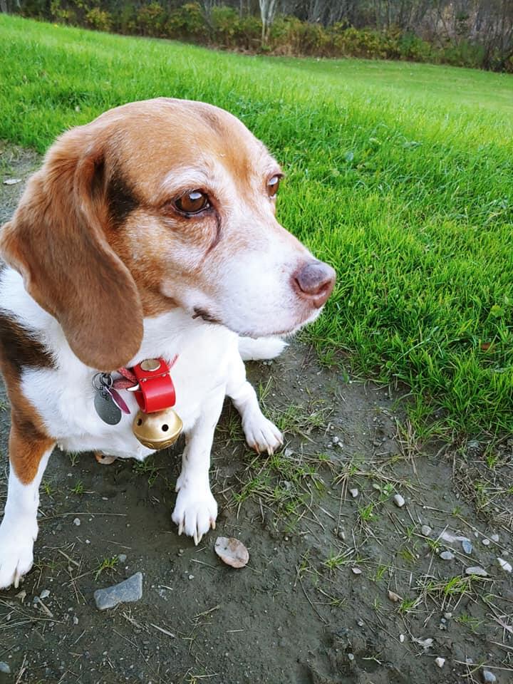 a best friend farms Nextdoor