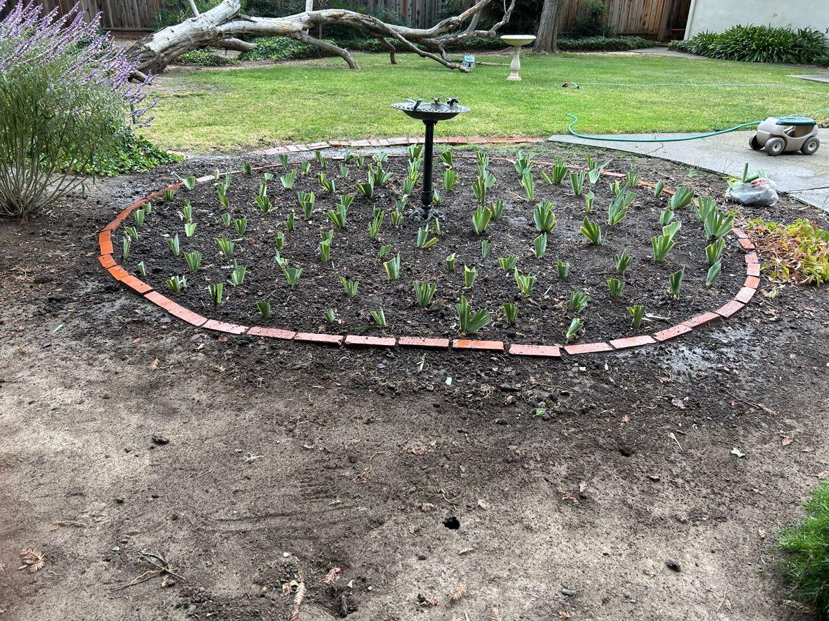 Ignacio Sanchez Landscaping Pittsburg, CA Nextdoor