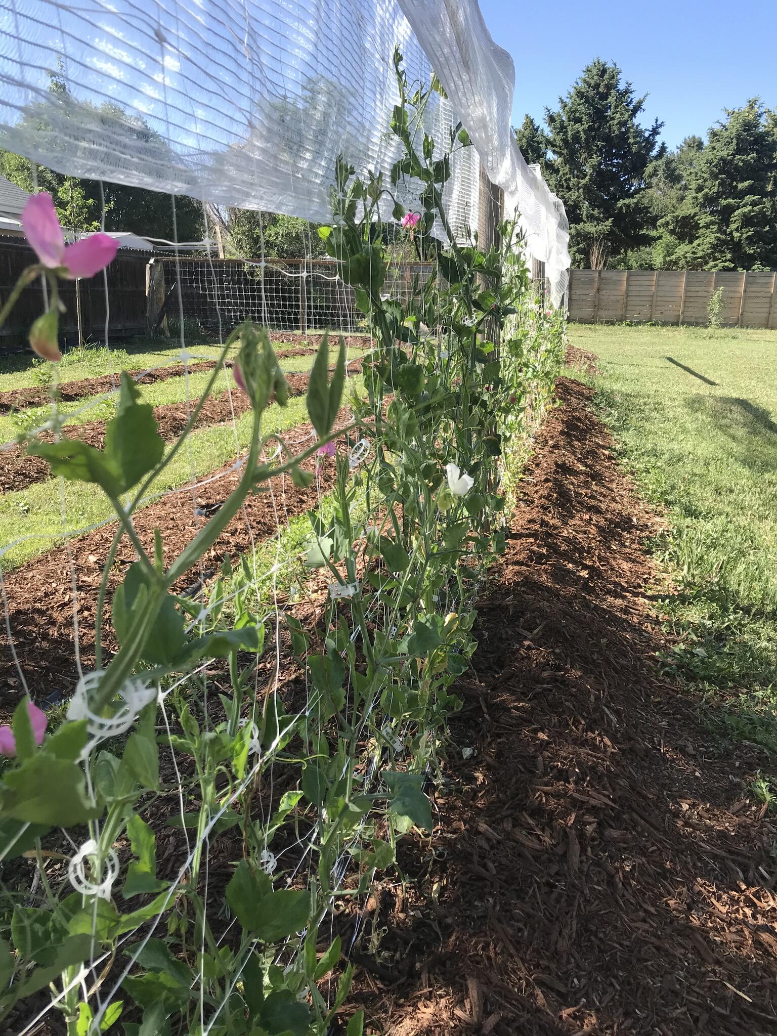 Blossom and Branch Farm Lakewood, CO Nextdoor