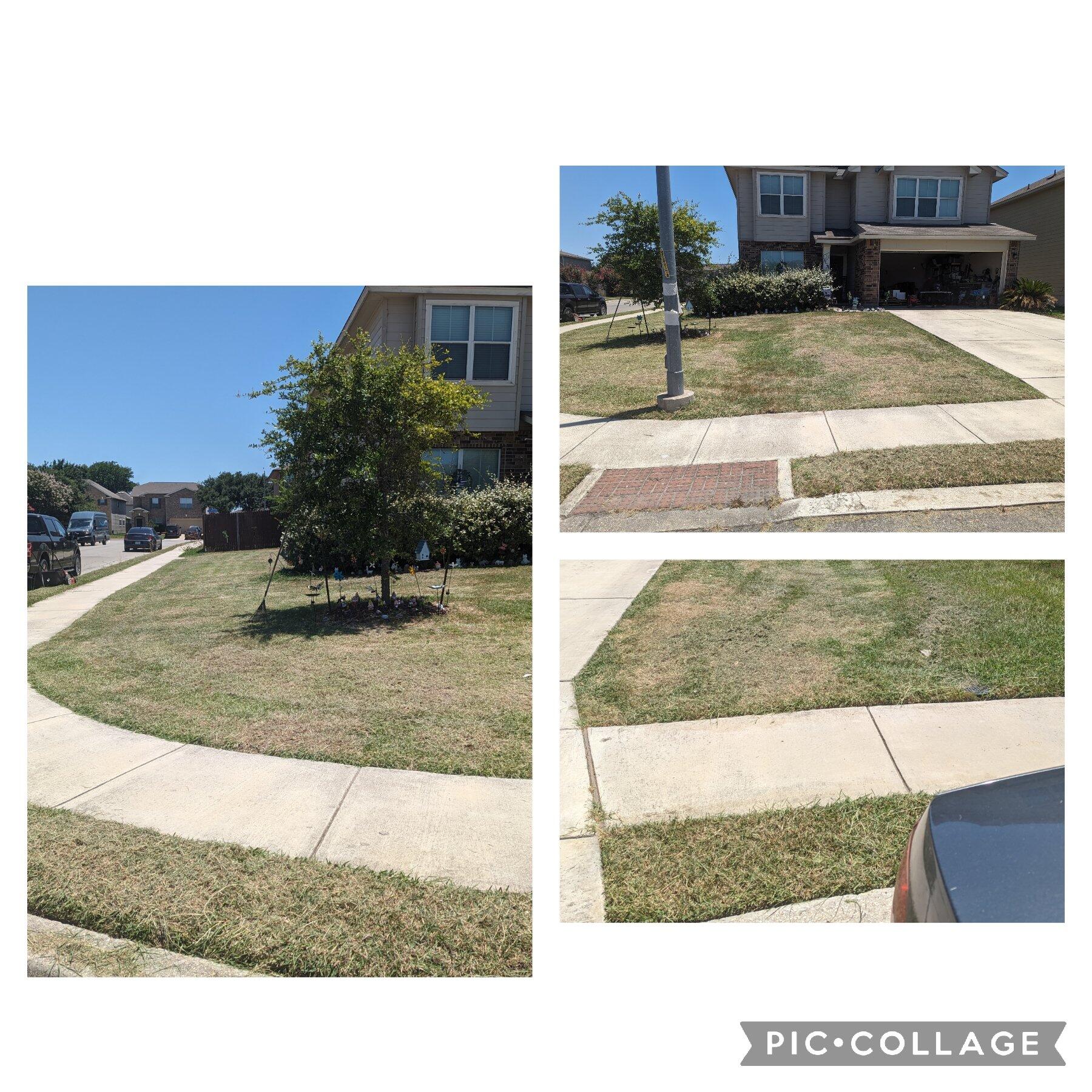 Richard Gonzales Lawn care San Antonio, TX Nextdoor