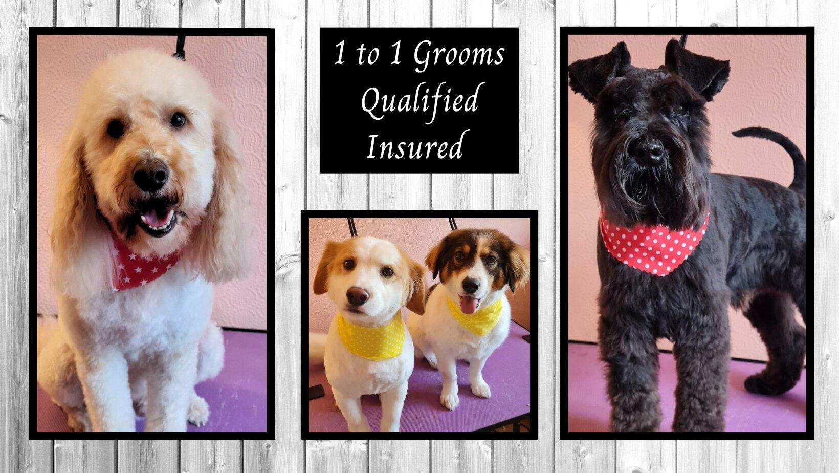 Dane Manor Dog Grooming Kidderminster, GBENG Nextdoor