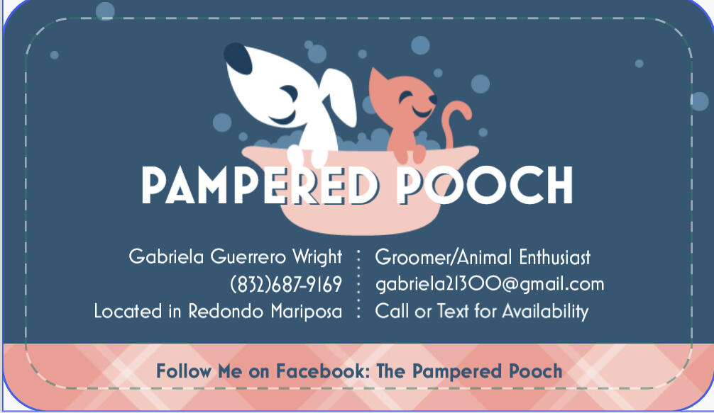 Pampered Pooch Grooming Rio Rancho, NM Nextdoor