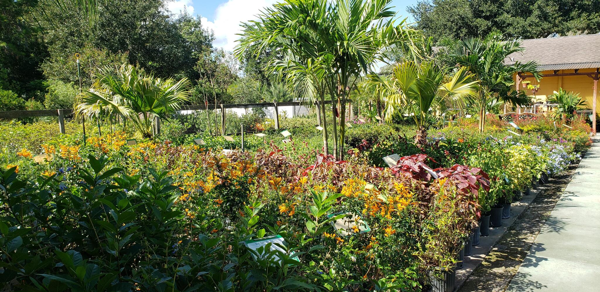 Exploring the Best Plant Nurseries in Daytona Beach: A Gardener’s Paradise