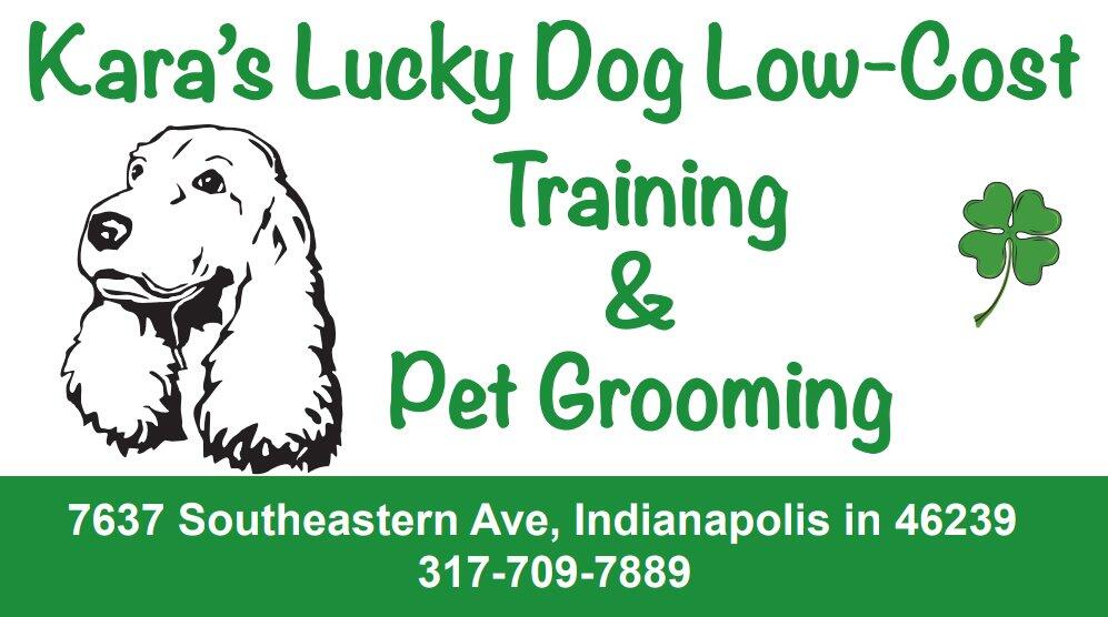 Low cost shop dog grooming